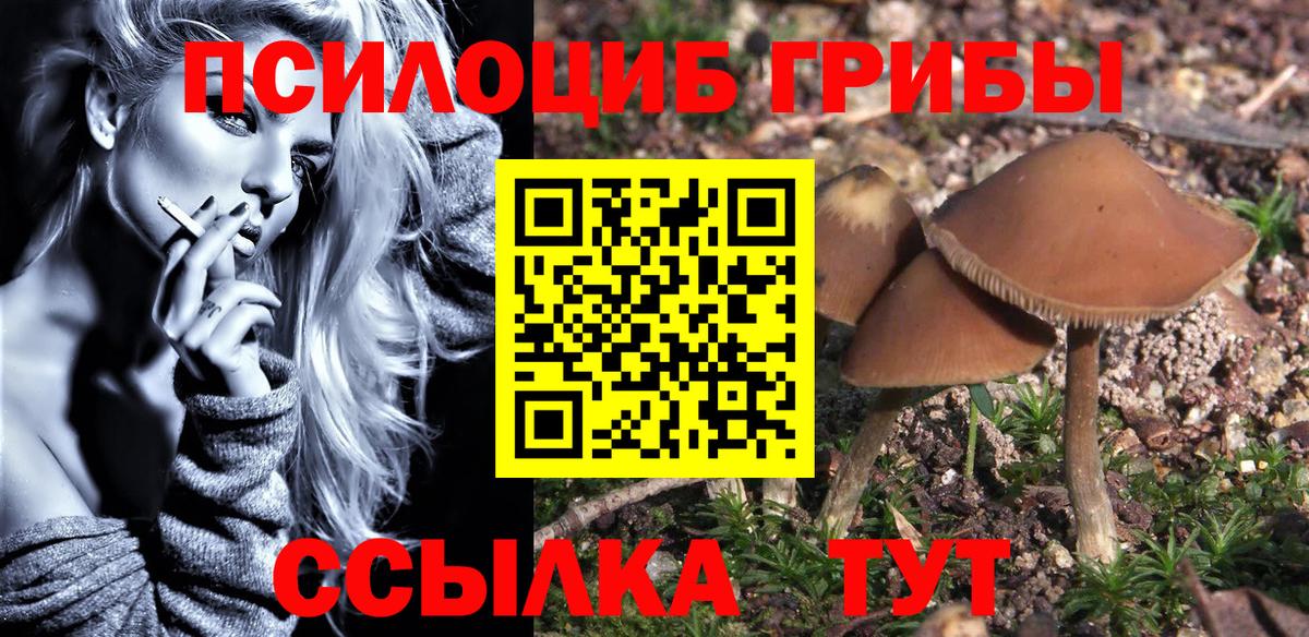 Галлюциногенные грибы прущие грибы  Вход с VPN  Елец 